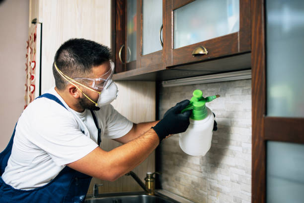 Best Termite Control Services  in Archer City, TX