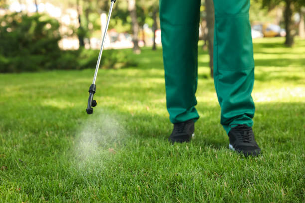 Best Residential Pest Control  in Archer City, TX
