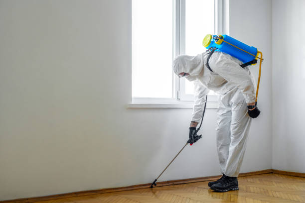  Archer City, TX Pest Control Pros