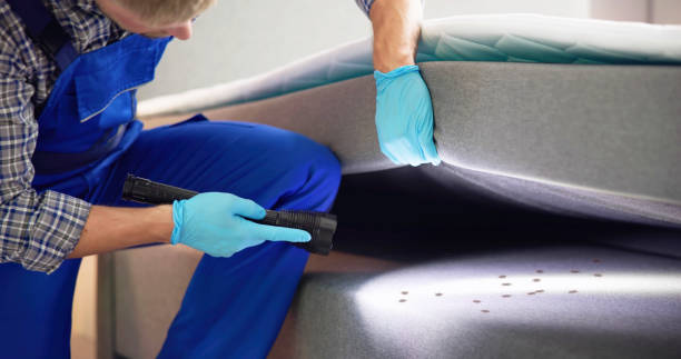 Best Affordable Pest Control Services  in Archer City, TX