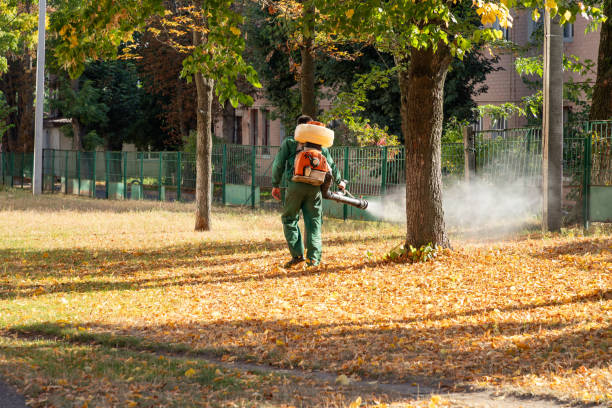 Archer City, TX Pest Control Company