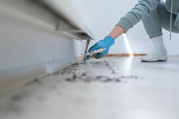 Best Pest Inspection Near Me  in Archer City, TX