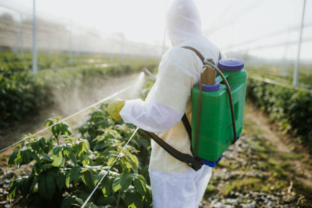 Best Pest Inspection Near Me  in Archer City, TX